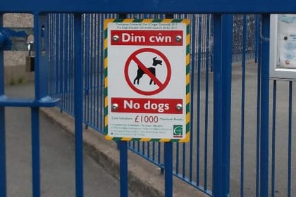 Dogs banned from play and skate parks in Bude 
