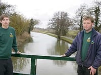 Death of Bude swans