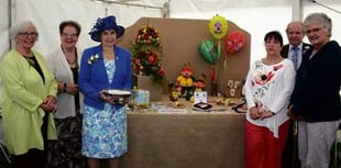 'All the Fun of the Fair' in the WI tent