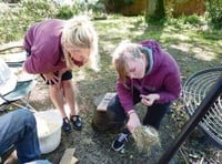 Pupils put their survival skills to the test