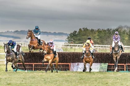 Six races on point-to-point card