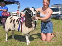 Camelford Show cancelled due to weather forecast