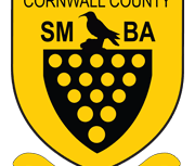 Cornwall keep their knockout stage hopes alive