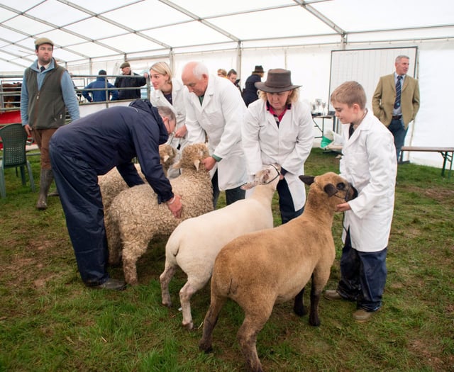 No animals for Liskeard and District Prime Stock show amid outbreak