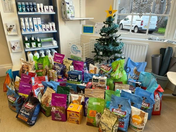 Pet food bank off to a good start