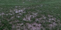 Three SWPL games survive the latest downpour