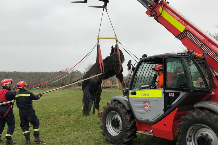 Ben the shire being rescued by fire and rescue crews