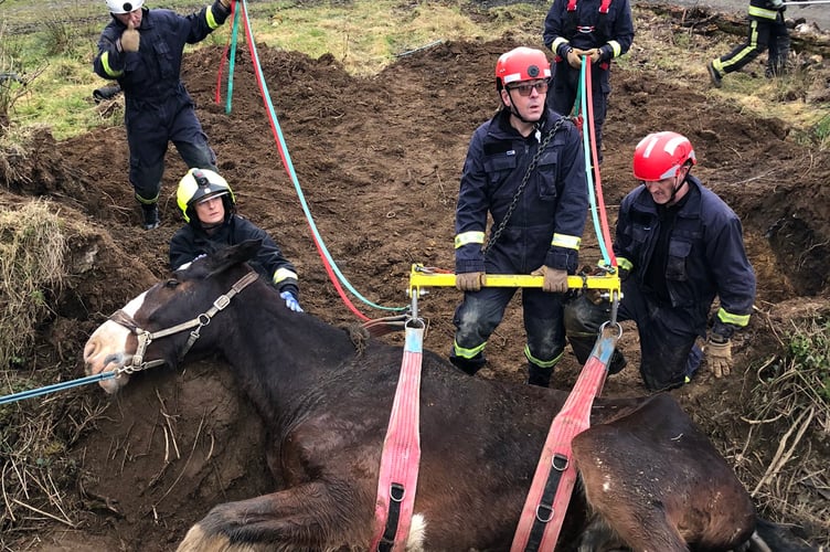 Ben the shire being rescued by fire and rescue crews