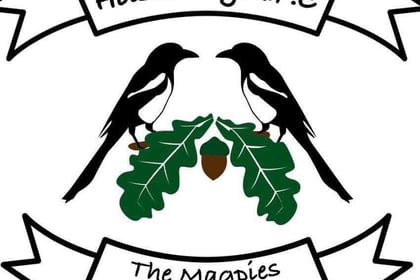 Magpies well beaten at Newton Abbot