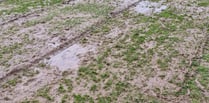 Callington, Torpoint, Launceston and Dobwalls matches all off  