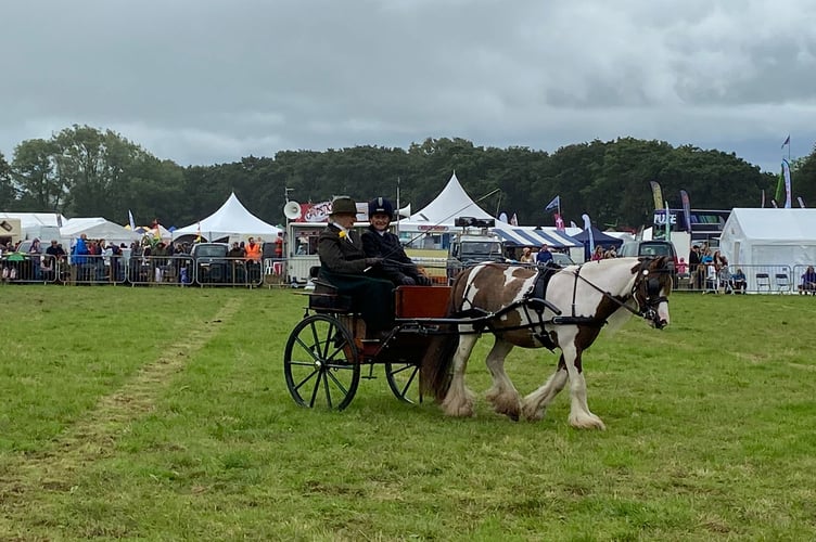 marriage driving in the main ring at Launceston Show 2023