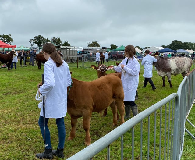 Launceston Agricultural Show - the latest pictures and updates 