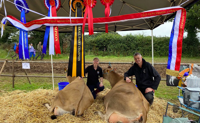 Prize winning cattle at Launceston Show 2023