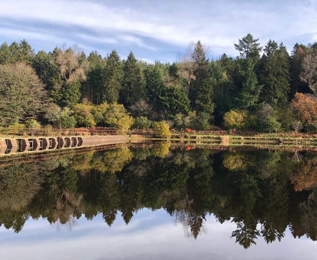 Brown trout fishing closed until March