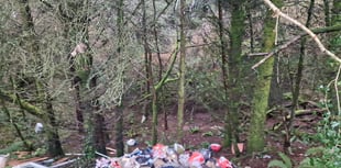 Anger after Launceston woodland targeted by fly-tippers