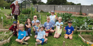 Local gardening group hopes to combat loneliness 