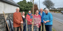 Five Cornish towns plant trees in time for Spring 