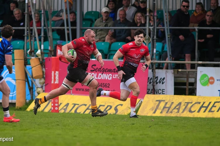 Cornish Pirates flanker Alex Everett rampages forward at the Mennaye Field on Sunday.