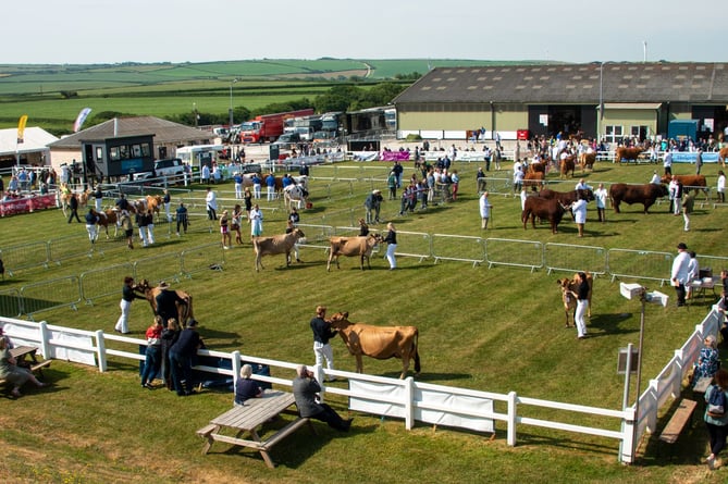 Royal Cornwall Show