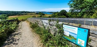 People invited to join free weekly walks in the Tamar Valley