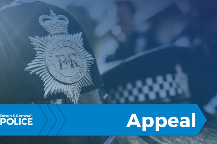 Police appeal following thefts from cars 