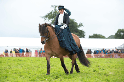 Captivating display promised at Woolsery & District Agricultural Show