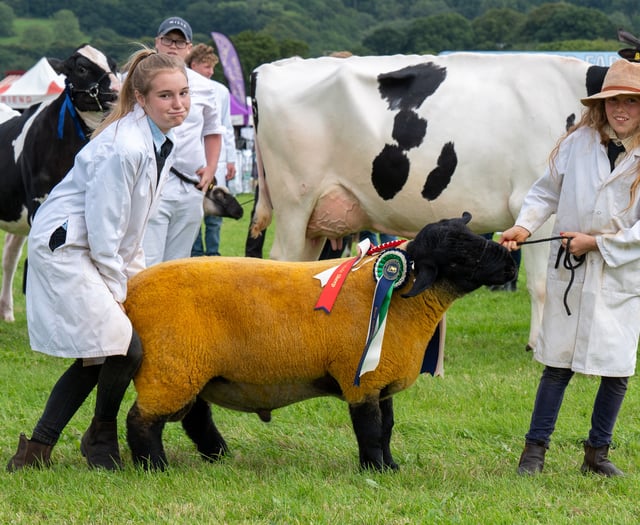 Have a go at this year's Okehampton Show