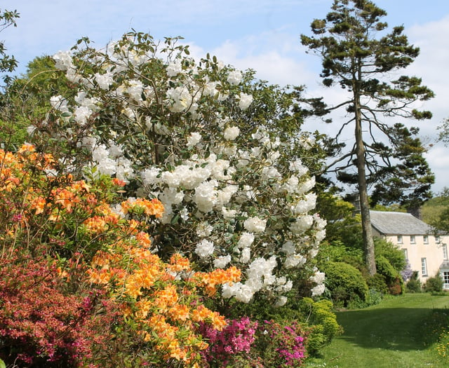 Bodmin Moor garden to open for charity