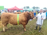 Launceston Show — fun but muddy!