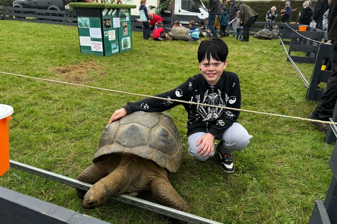 Bob Hughes (11), from North Tawton enjoyed meeting one of the giant tortoises.  AQ 9384
