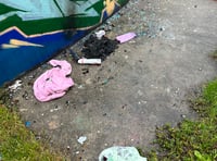 Police have taken action after spate of vandalism