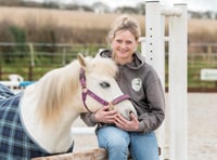 Equine business benefits from start up loan 