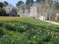 Cotehele to become more accessible says National Trust 