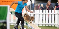 Bodmin dog owner celebrates success at agility festival