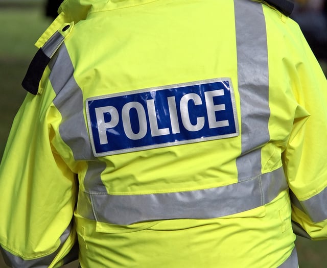 Bude woman held in custody after assault spree in Somerset