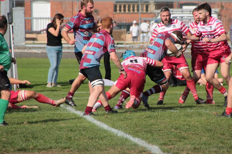 Bude number eight Ben Hancock attracts the attention of several home defenders. Picture: Tony Berry