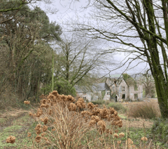 Plans to redevelop ruined manor refused