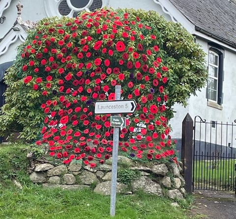 The beautiful display of handcrafted poppies made by the ladies’ of Polyphant for Remembrance day which they have been knitting over the last few years.