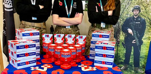 Record figure for Poppy Appeal