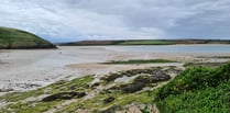 Camel Estuary to become focus of community art commissions 