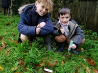 School pupils described as 'inspiring' after success of Eco Club