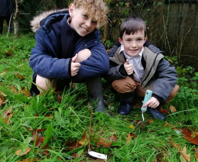 School pupils described as 'inspiring' after success of Eco Club